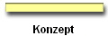Konzept